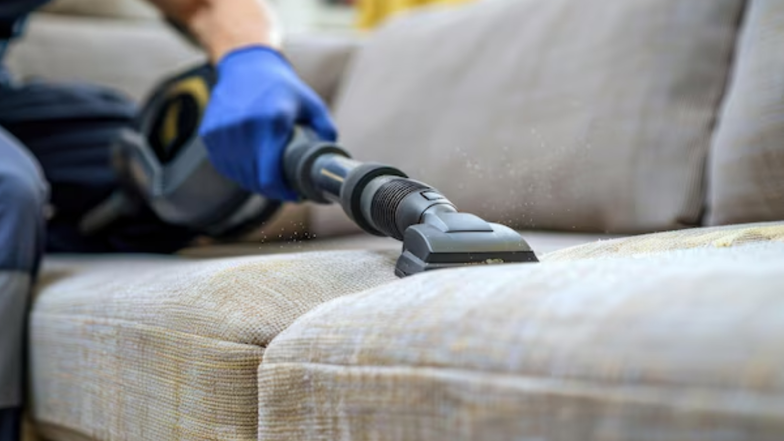 10 Reasons Professional Furniture Cleaning Is Worth It