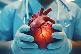 Heart Transplant Cost in India